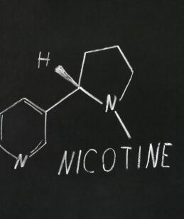 verwijderen nicotine van schilderij restauratie atelier kunstrestaurator schilderijenrestaurateur restaurator Atelier Iddi