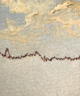 herstel van gescheurde schilderijen beschadigd canvas doek hersteld kunstrestauratie en kunstrestaurator atelier iddi schilderijenrestaurateur