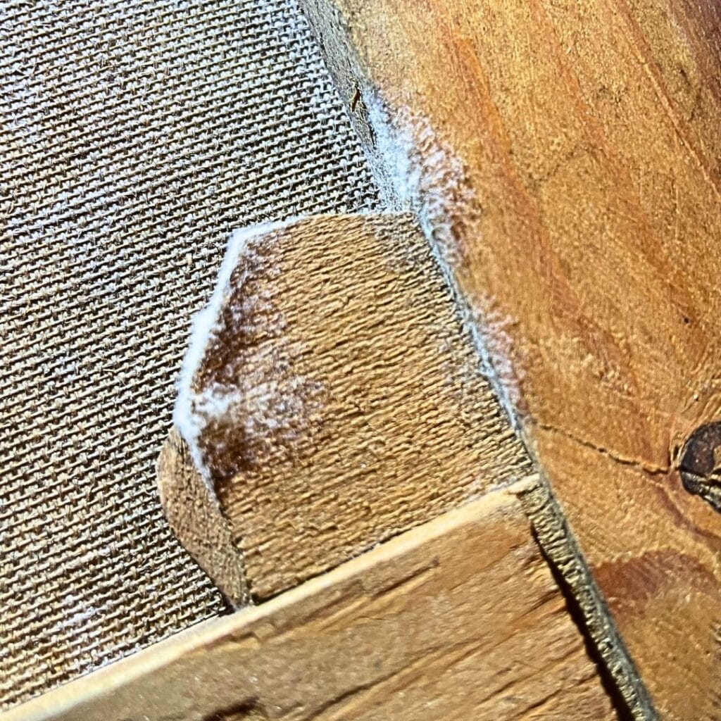 waterschade en schimmel op schilderijen kunstkoerier schilderijenrestaurateur restaurateur atelier Iddi
